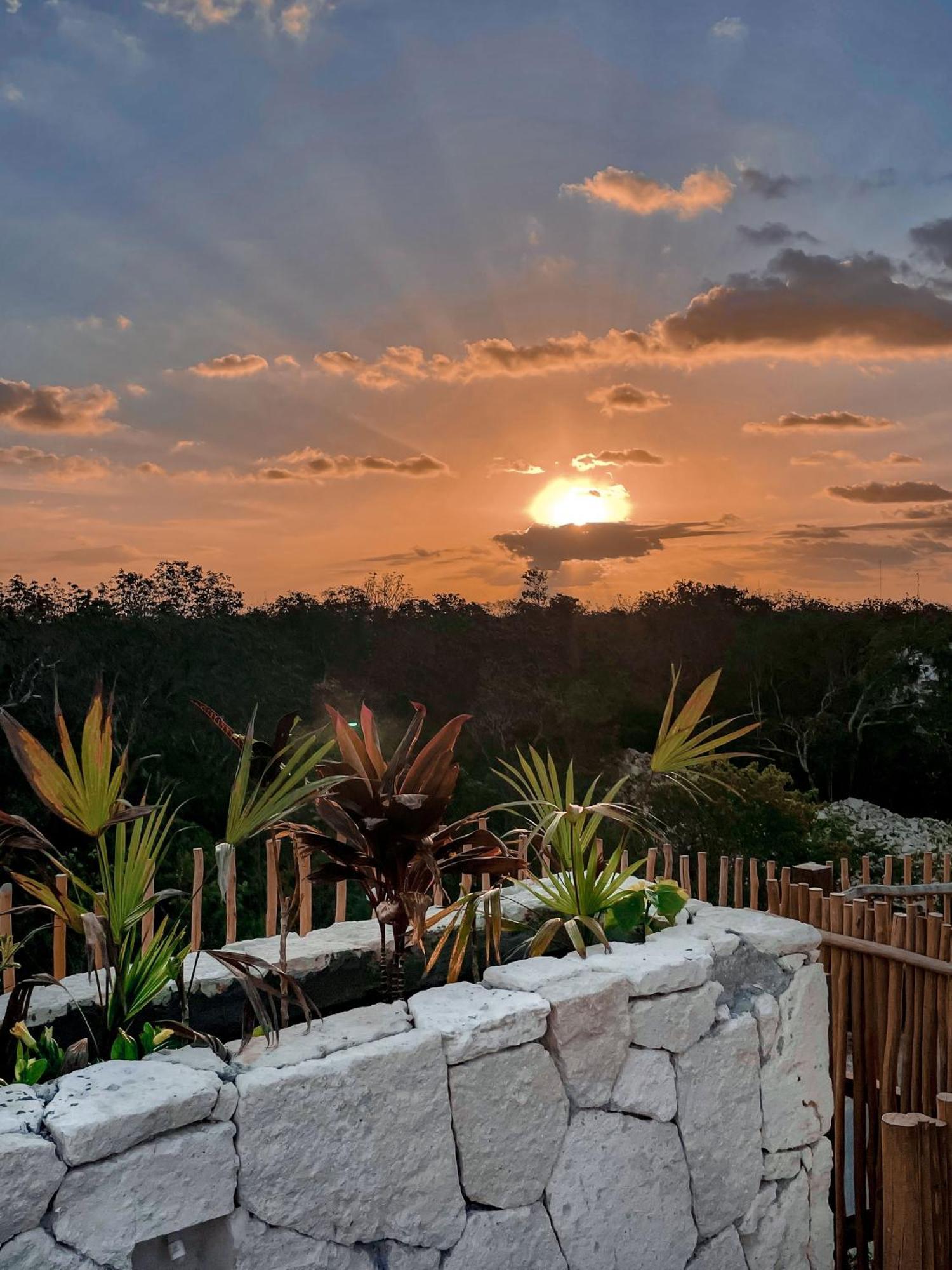 Jungle Boho Designer Apart 11 W50 Off Access Hotel Bardo Tulum Exteriör bild
